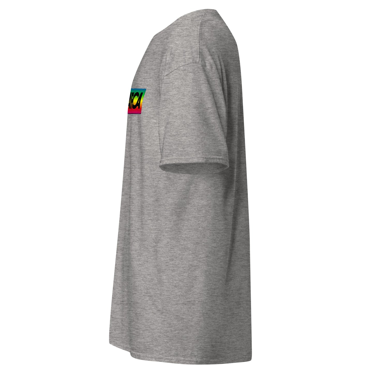 Camiseta Sonografica clásica sport grey
