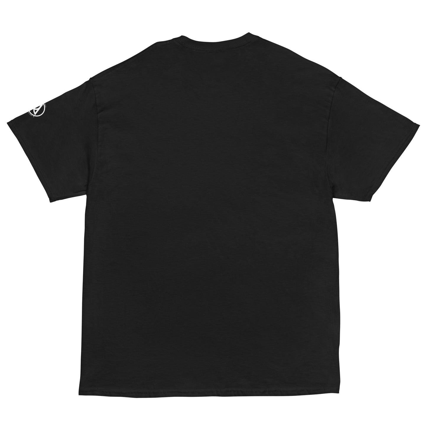 DESKA Fest 2024 Classic T-Shirt