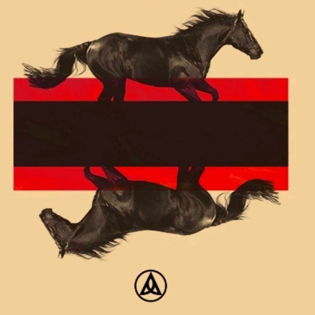 DKRD Black Horses Bronz