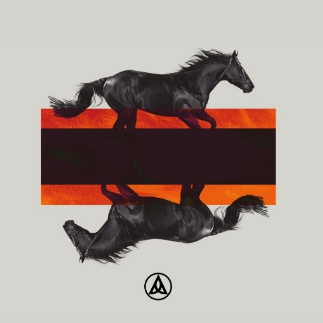 DKRD Black Horses Orange