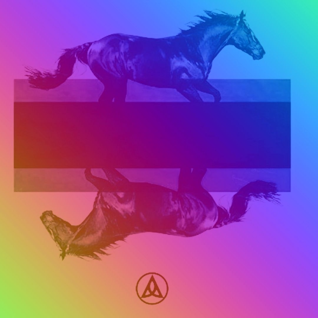 DKRD Black Horses Rainbow Marine