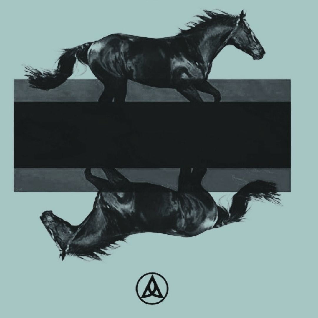 DKRD Black Horses Nordic