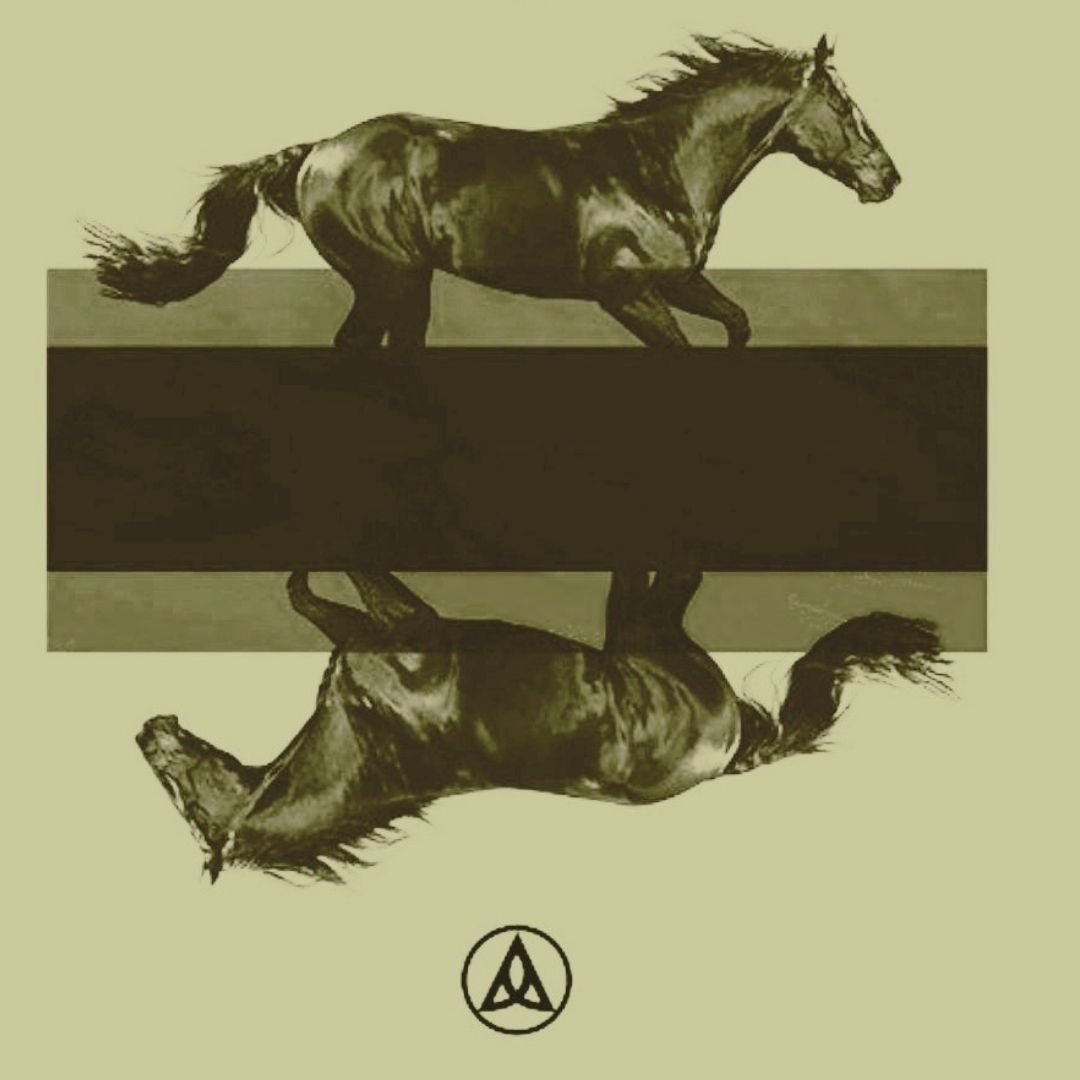 DKRD Black Horses Latte