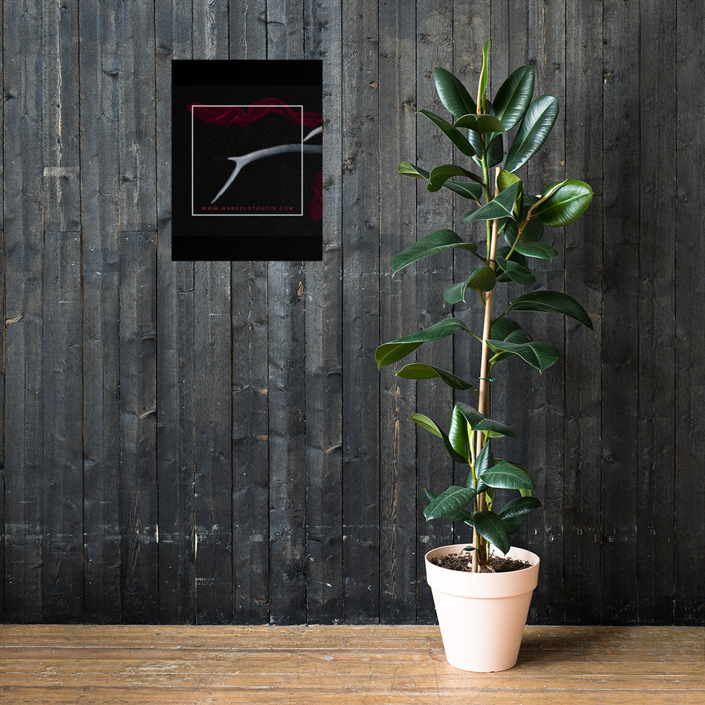 Póster Marcelo Toutin