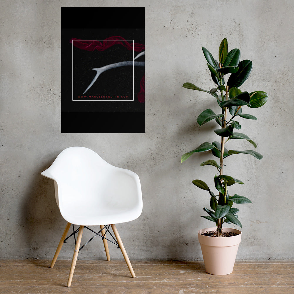 Póster Marcelo Toutin