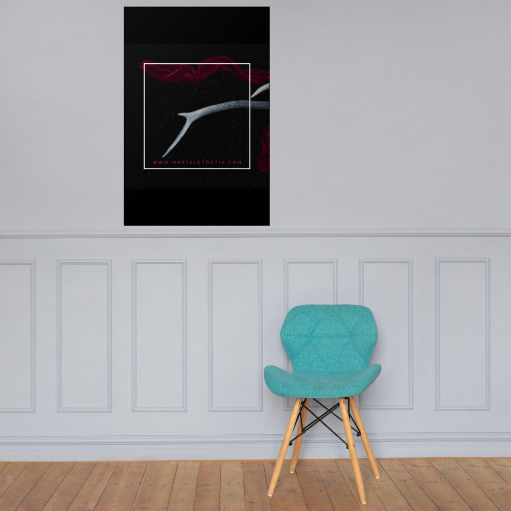 Póster Marcelo Toutin