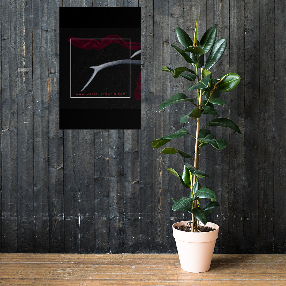 Póster Marcelo Toutin