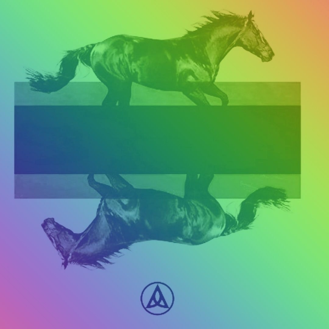 DKRD Black Horses Rainbow