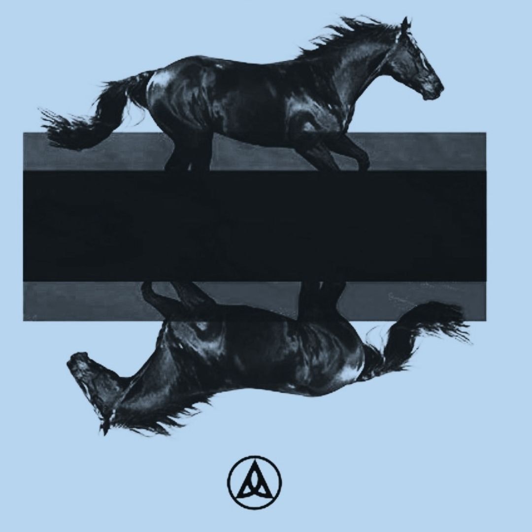 DKRD Black Horses Polar
