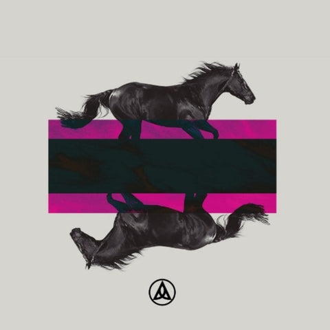 DKRD Black Horses Purple