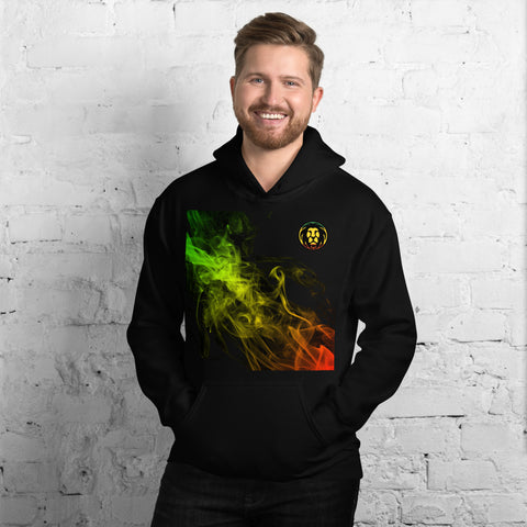 Fashion Lion Abstract Four Unisex Hoodie