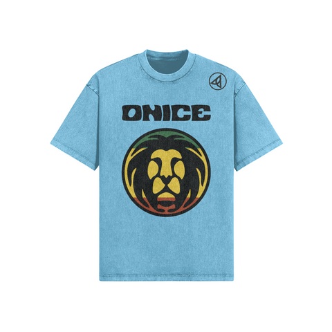 Onice Oversized Snow Wash Colors T-Shirt